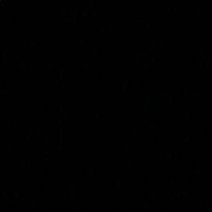 Meet your Posher, Lana